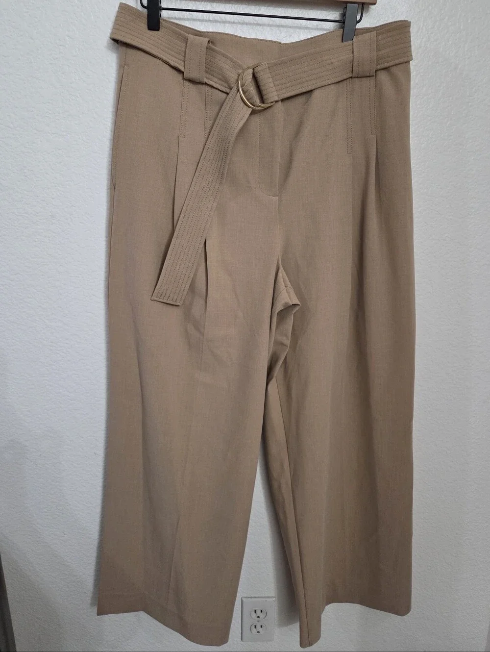 Ann Taylor The Belted Straight Leg Pant Women's Size 12 Tan - Picture 3 of 12